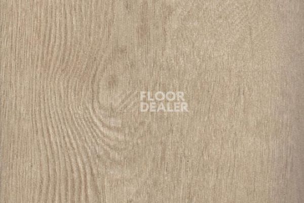 Виниловая плитка ПВХ FORBO Effekta Standard 3044P Whitewash Fine Oak ST фото 1 | FLOORDEALER